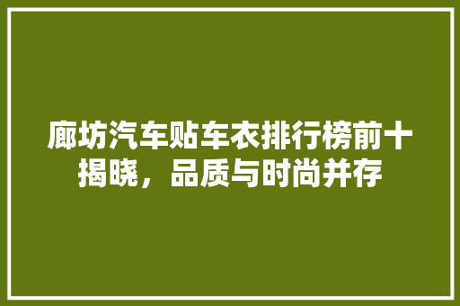 廊坊汽车贴车衣排行榜前十揭晓，品质与时尚并存