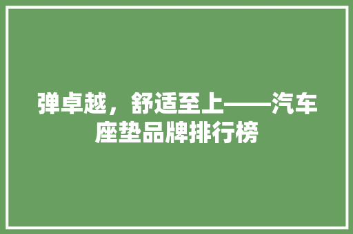 弹卓越，舒适至上——汽车座垫品牌排行榜  第1张