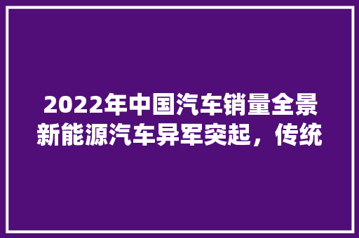 2022年中国汽车销量全景新能源汽车异军突起，传统燃油车市场格局生变