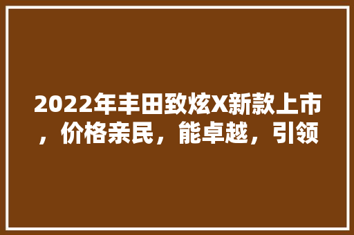 2022年丰田致炫X新款上市，价格亲民，能卓越，引领家用车新潮流