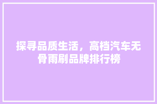 探寻品质生活，高档汽车无骨雨刷品牌排行榜