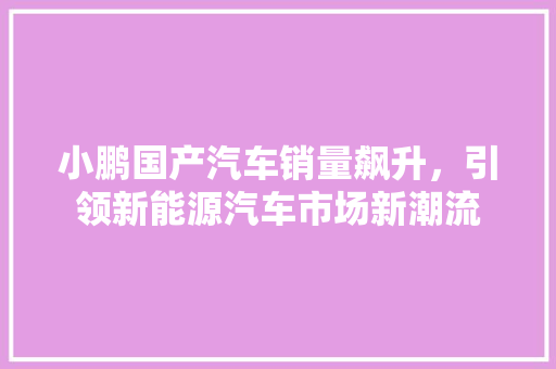 小鹏国产汽车销量飙升，引领新能源汽车市场新潮流
