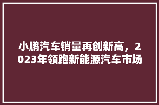 小鹏汽车销量再创新高，2023年领跑新能源汽车市场