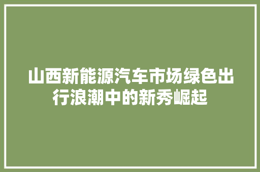 山西新能源汽车市场绿色出行浪潮中的新秀崛起