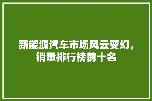 新能源汽车市场风云变幻，销量排行榜前十名