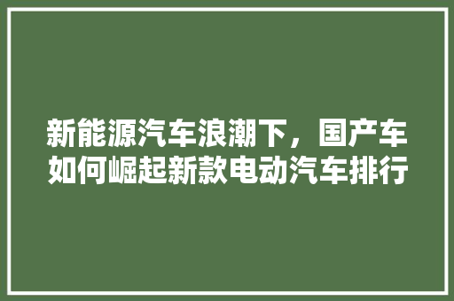 新能源汽车浪潮下，国产车如何崛起新款电动汽车排行榜
