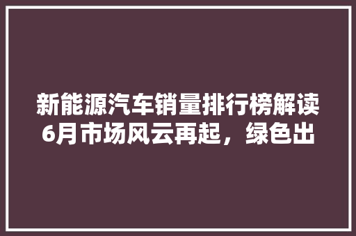 新能源汽车销量排行榜解读6月市场风云再起，绿色出行成为主流