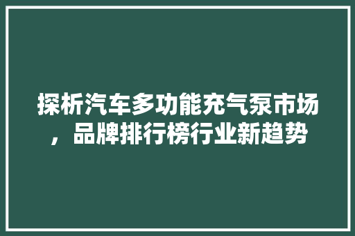 探析汽车多功能充气泵市场，品牌排行榜行业新趋势