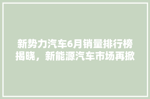 新势力汽车6月销量排行榜揭晓，新能源汽车市场再掀热潮