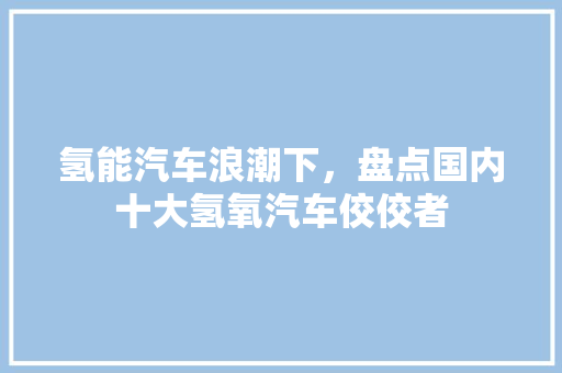氢能汽车浪潮下，盘点国内十大氢氧汽车佼佼者