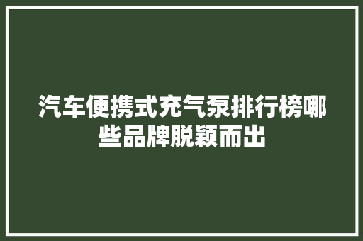 汽车便携式充气泵排行榜哪些品牌脱颖而出