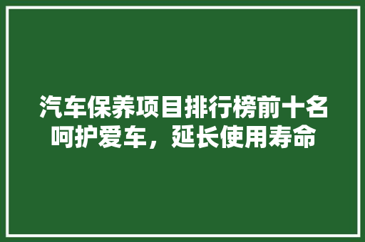 汽车保养项目排行榜前十名呵护爱车，延长使用寿命