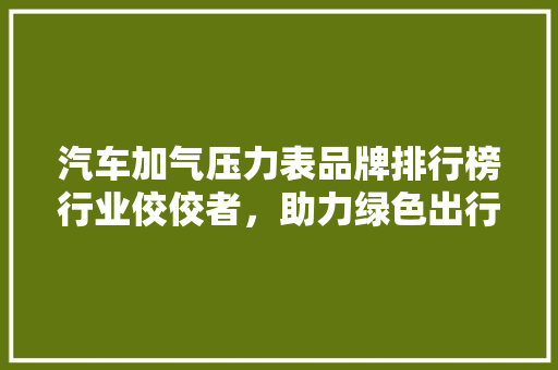 汽车加气压力表品牌排行榜行业佼佼者，助力绿色出行