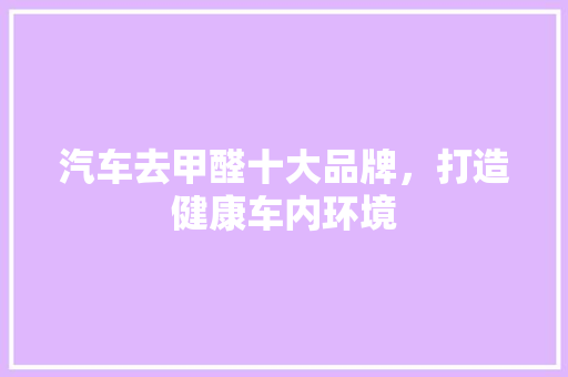 汽车去甲醛十大品牌，打造健康车内环境