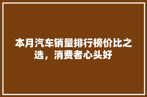 本月汽车销量排行榜价比之选，消费者心头好