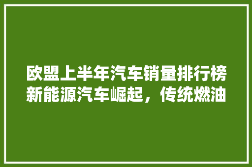 欧盟上半年汽车销量排行榜新能源汽车崛起，传统燃油车面临挑战