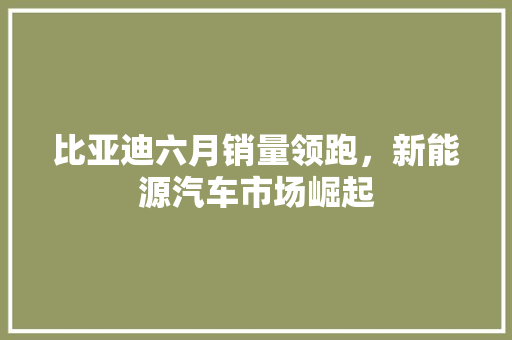 比亚迪六月销量领跑，新能源汽车市场崛起