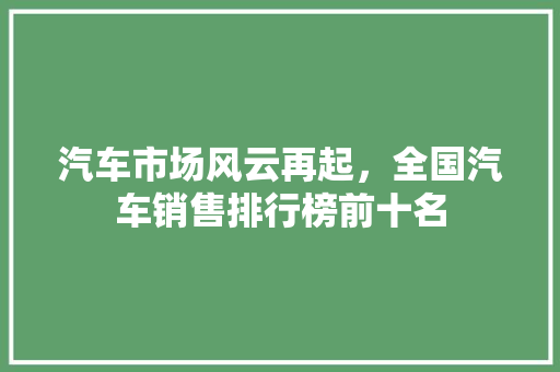 汽车市场风云再起，全国汽车销售排行榜前十名