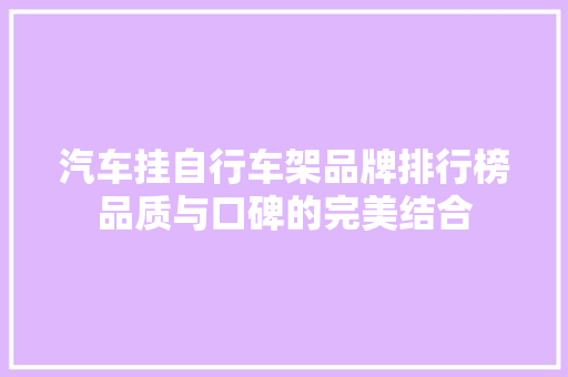 汽车挂自行车架品牌排行榜品质与口碑的完美结合
