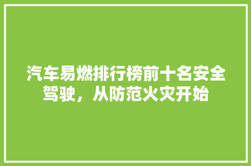 汽车易燃排行榜前十名安全驾驶，从防范火灾开始