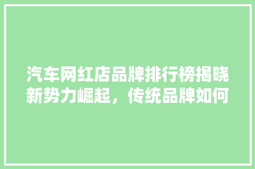 汽车网红店品牌排行榜揭晓新势力崛起，传统品牌如何应对