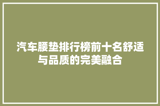 汽车腰垫排行榜前十名舒适与品质的完美融合  第1张