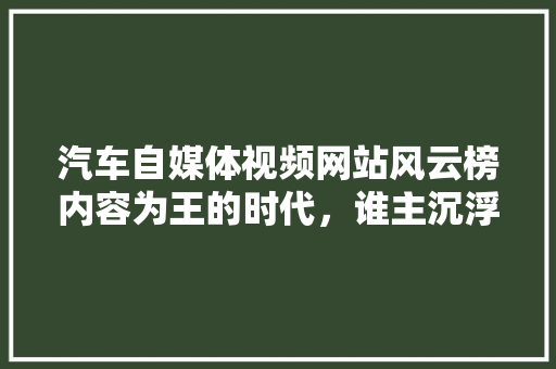 汽车自媒体视频网站风云榜内容为王的时代，谁主沉浮