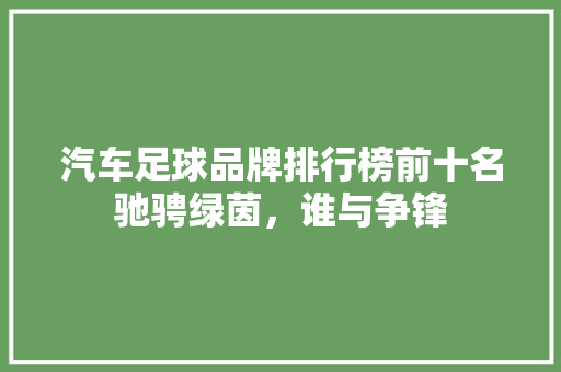 汽车足球品牌排行榜前十名驰骋绿茵，谁与争锋  第1张
