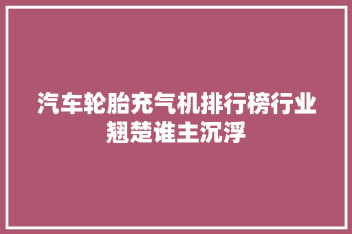 汽车轮胎充气机排行榜行业翘楚谁主沉浮