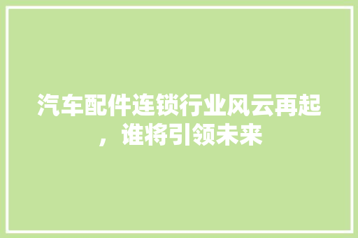 汽车配件连锁行业风云再起，谁将引领未来