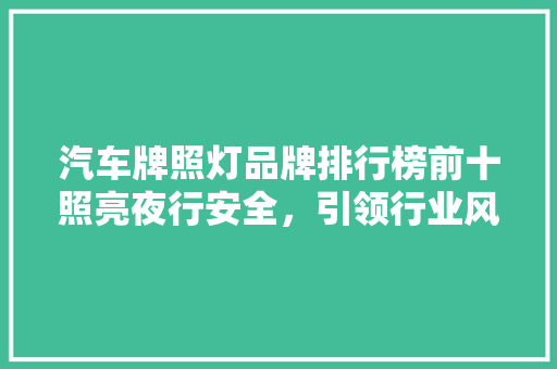 汽车牌照灯品牌排行榜前十照亮夜行安全，引领行业风向标