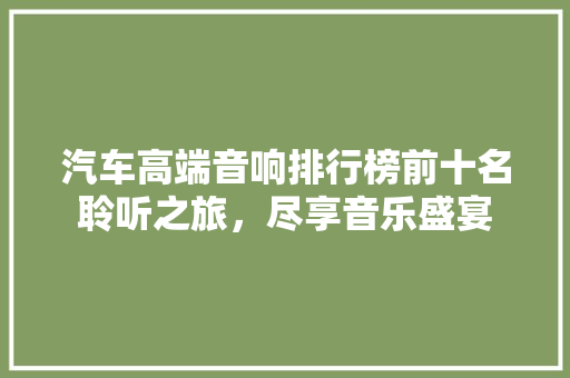 汽车高端音响排行榜前十名聆听之旅，尽享音乐盛宴