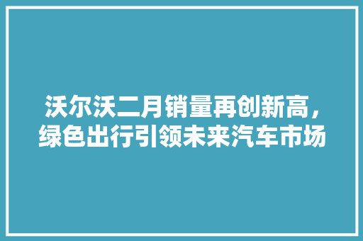 沃尔沃二月销量再创新高，绿色出行引领未来汽车市场