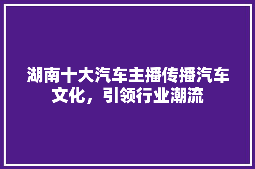 湖南十大汽车主播传播汽车文化，引领行业潮流