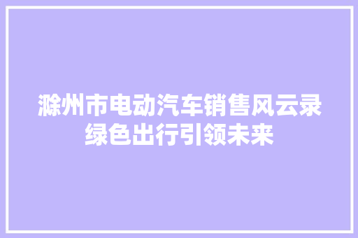 滁州市电动汽车销售风云录绿色出行引领未来