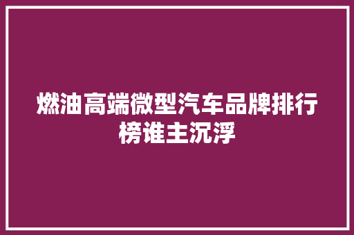 燃油高端微型汽车品牌排行榜谁主沉浮