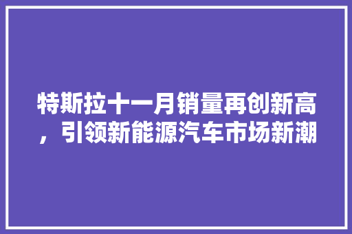 特斯拉十一月销量再创新高，引领新能源汽车市场新潮流