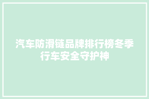 汽车防滑链品牌排行榜冬季行车安全守护神