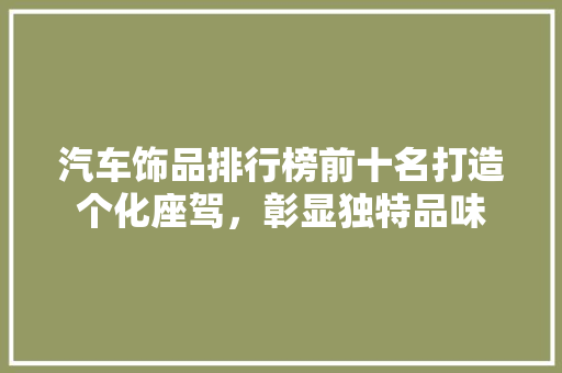 汽车饰品排行榜前十名打造个化座驾，彰显独特品味