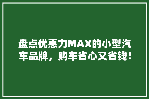 盘点优惠力MAX的小型汽车品牌，购车省心又省钱！