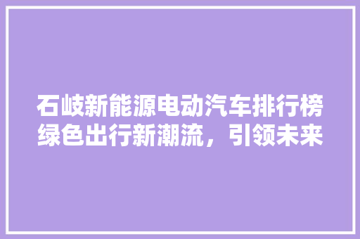 石岐新能源电动汽车排行榜绿色出行新潮流，引领未来城市生活