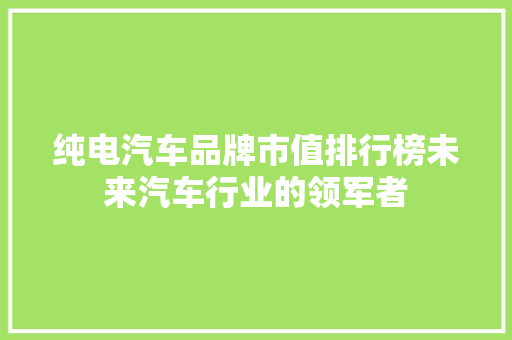 纯电汽车品牌市值排行榜未来汽车行业的领军者