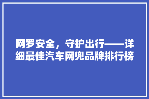 网罗安全，守护出行——详细最佳汽车网兜品牌排行榜