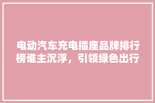 电动汽车充电插座品牌排行榜谁主沉浮，引领绿色出行新潮流