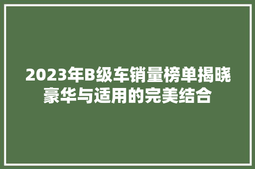 2023年B级车销量榜单揭晓豪华与适用的完美结合  第1张