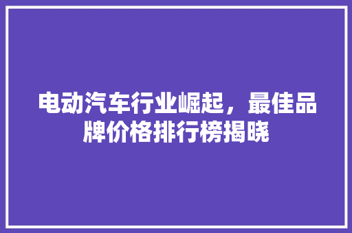 电动汽车行业崛起，最佳品牌价格排行榜揭晓