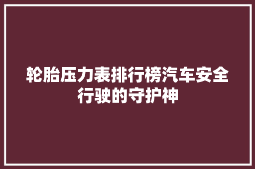 轮胎压力表排行榜汽车安全行驶的守护神