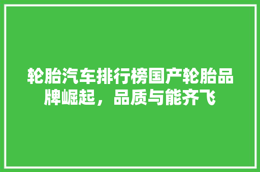 轮胎汽车排行榜国产轮胎品牌崛起，品质与能齐飞