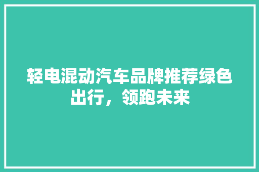 轻电混动汽车品牌推荐绿色出行，领跑未来