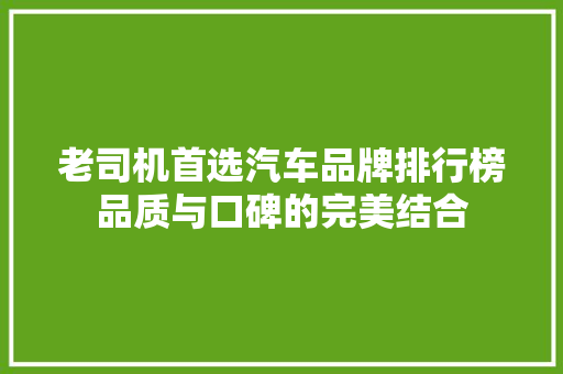 老司机首选汽车品牌排行榜品质与口碑的完美结合